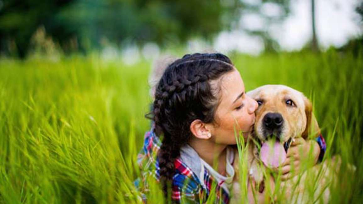 Diritti Umani e degli Animali!